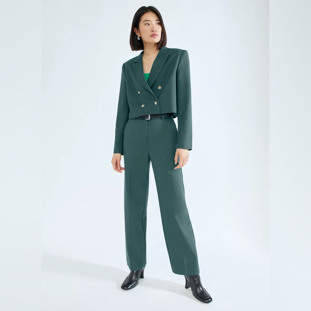Aritzia Babaton Lalonde Blazer